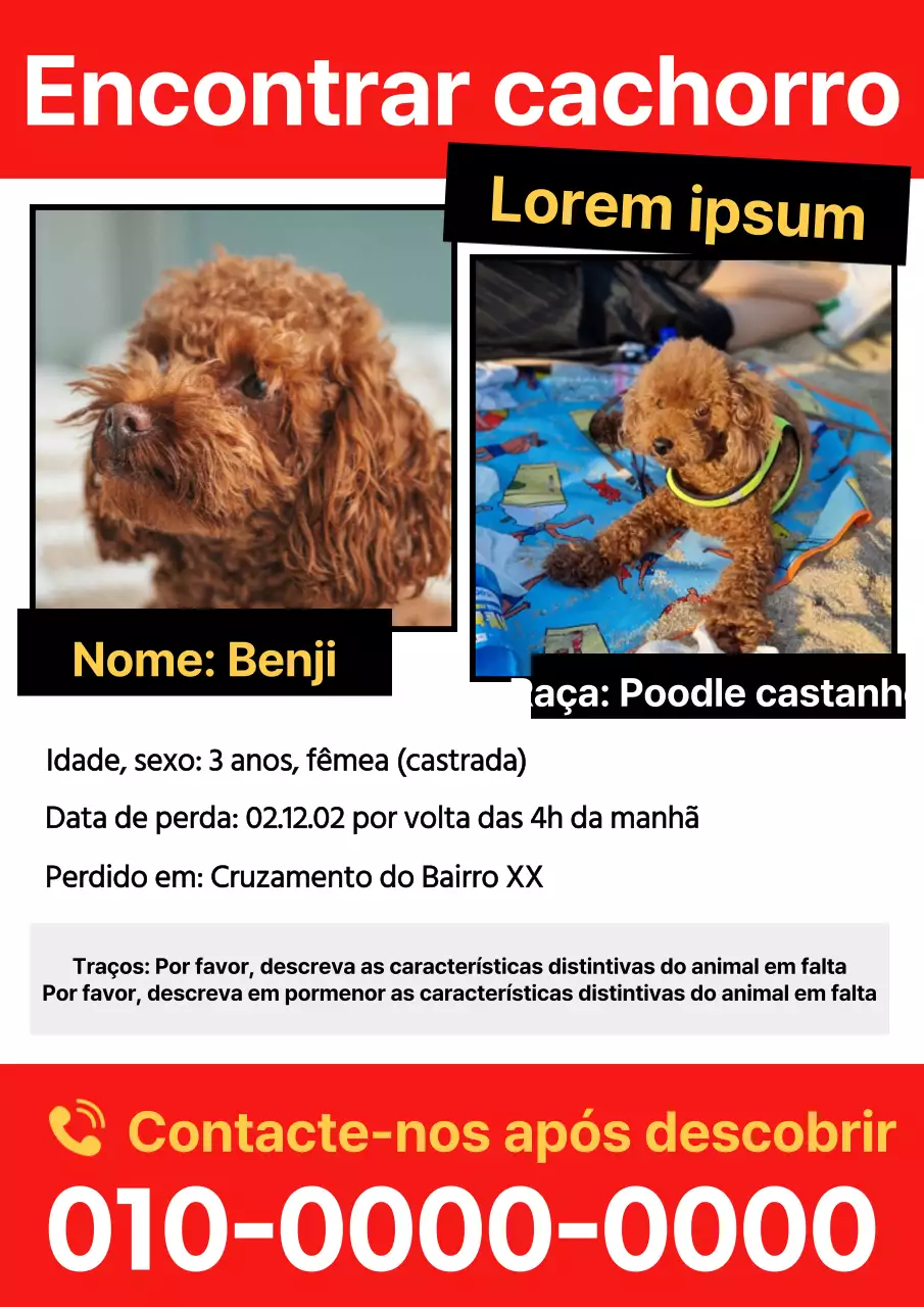 Afixar um simples folheto vermelho sobre o desaparecimento de um animal de estimação