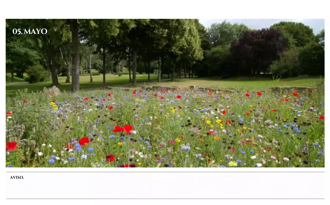 Calendario de pared de estilo sencillo con concepto de fotografía de viajes emocional en blanco y negro