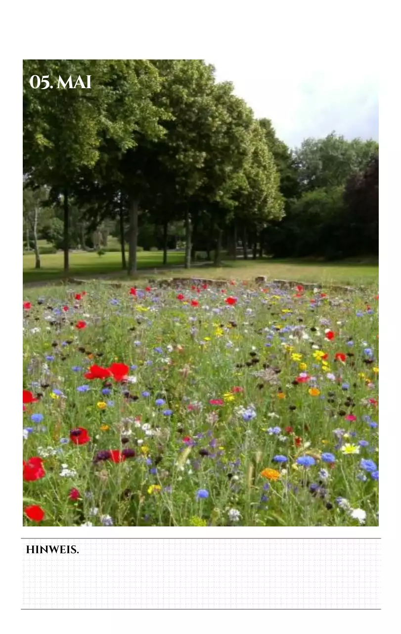 Einfacher Stil Wandkalender mit schwarz-weiß emotionalen Reisefotografie Konzept