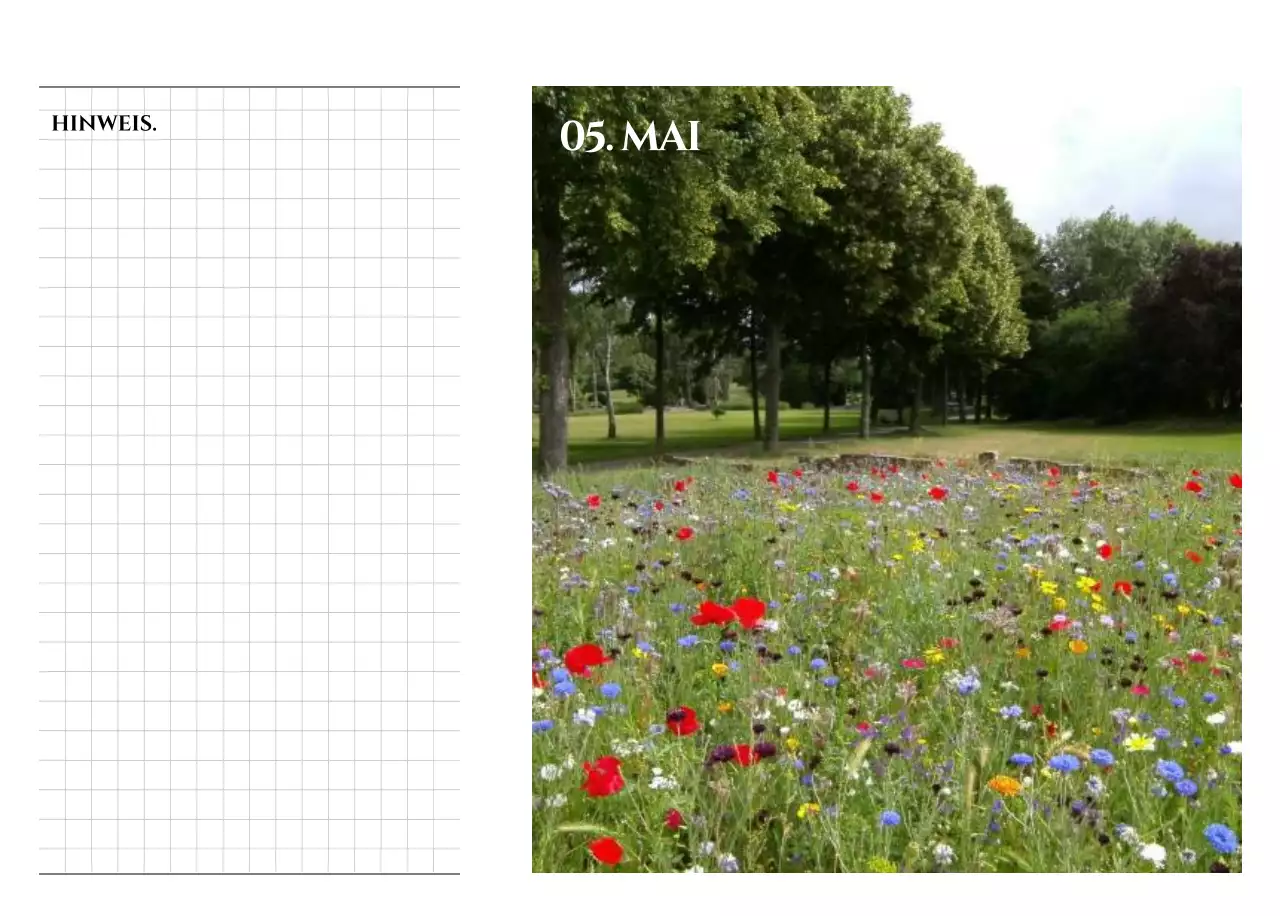 Ein Kalender im schlichten Stil mit einem emotionalen Reisefotografiekonzept