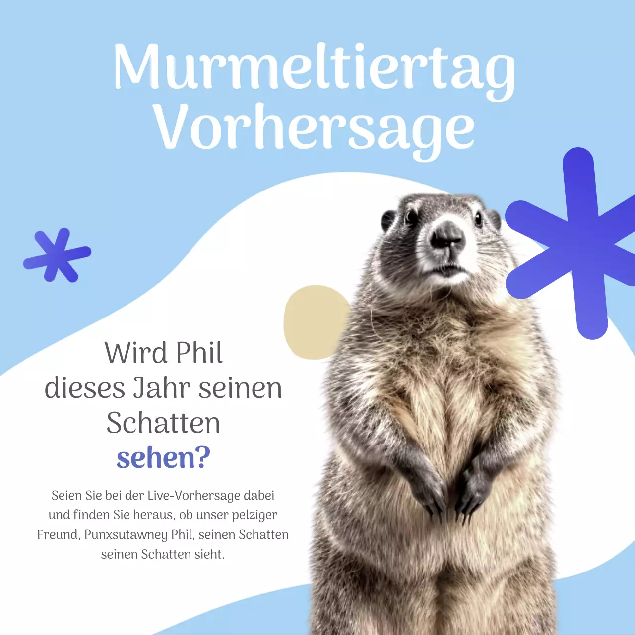 Himmelblau und Weiß Minimal Murmeltiertag Vorhersage Werbung
