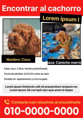 Publique un sencillo folleto rojo sobre mascotas desaparecidas
