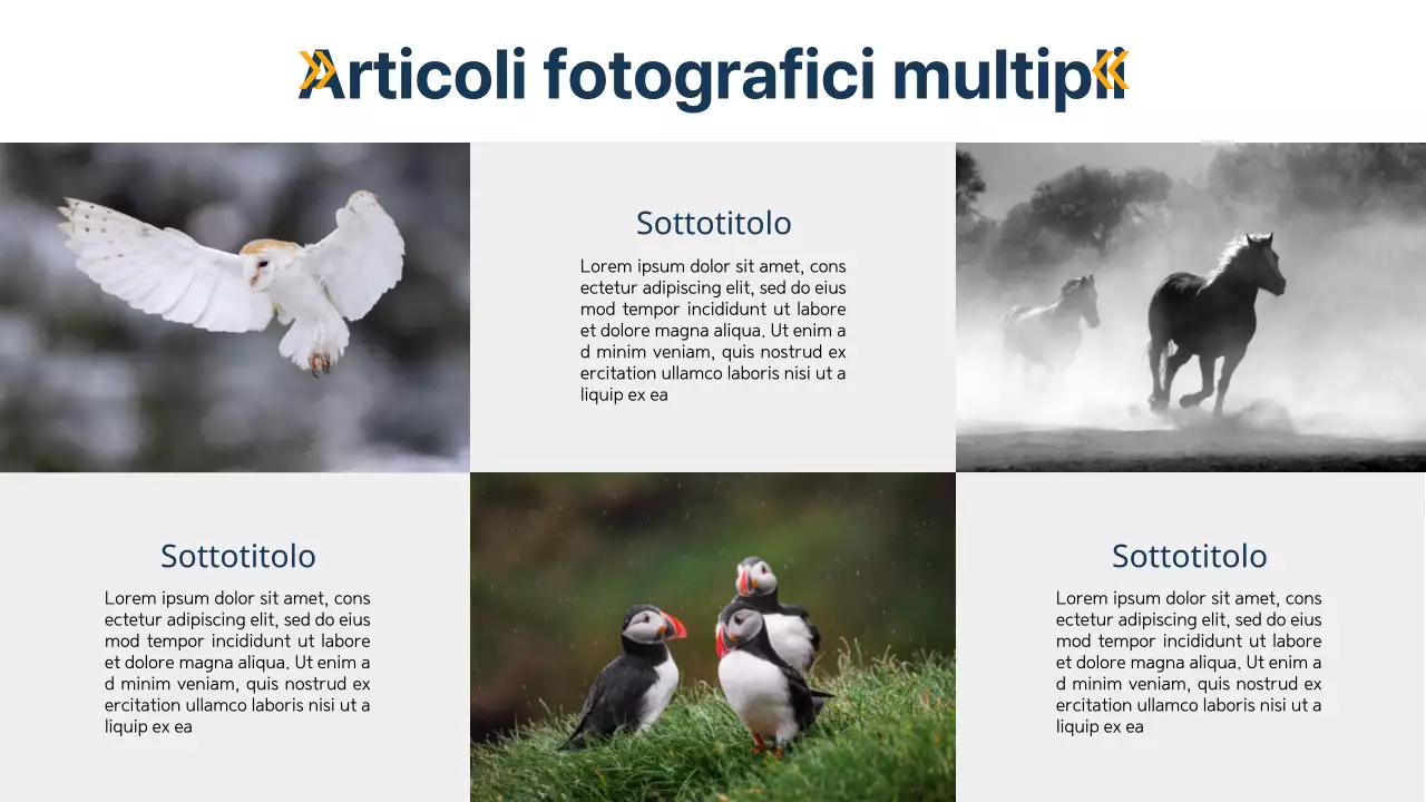 Nero e blu, layout moderno e versatile Materiale della pagina