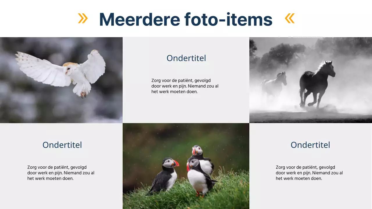 Zwart en Blauw Modern Veelzijdig Lay-out Pagina Materiaal