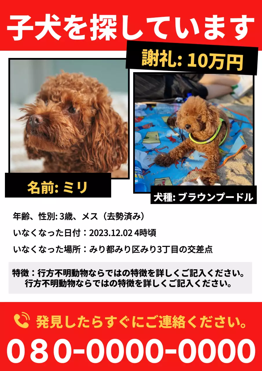 赤 目立つ ペット ポスター 文書フォーム