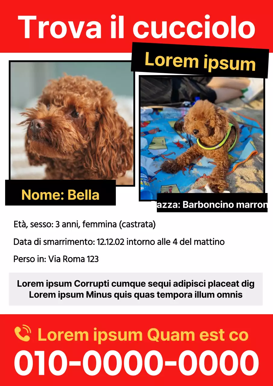 Affiggete un semplice volantino rosso sulla scomparsa di un animale domestico