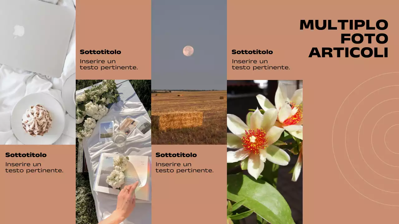 Rapporto di pagine minimali a layout multiplo in marrone e nero