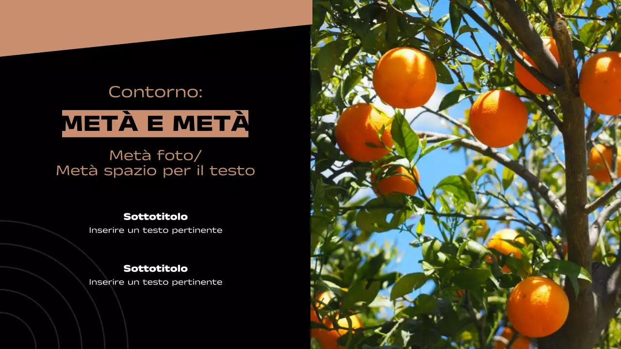 Rapporto di pagine minimali a layout multiplo in marrone e nero