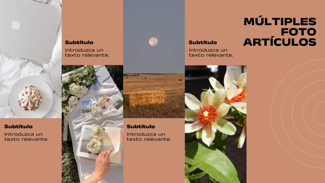 Informe de páginas con diseño mínimo múltiple en marrón y negro