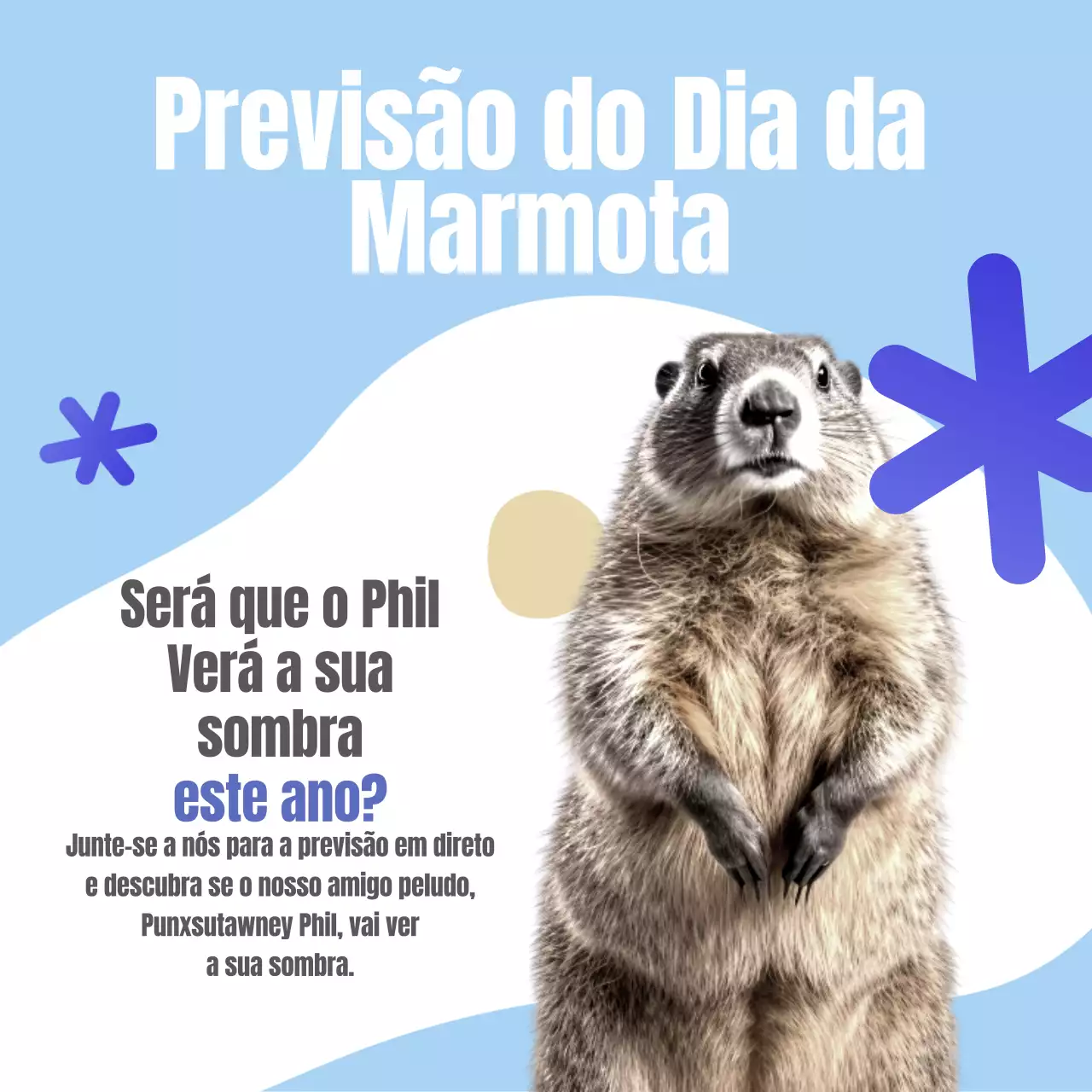 Publicidade de previsão do Dia da Marmota em azul celeste e branco mínimo