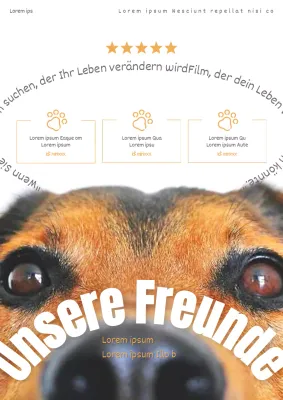 Einfache Welpenfilm-Promotion in Orange