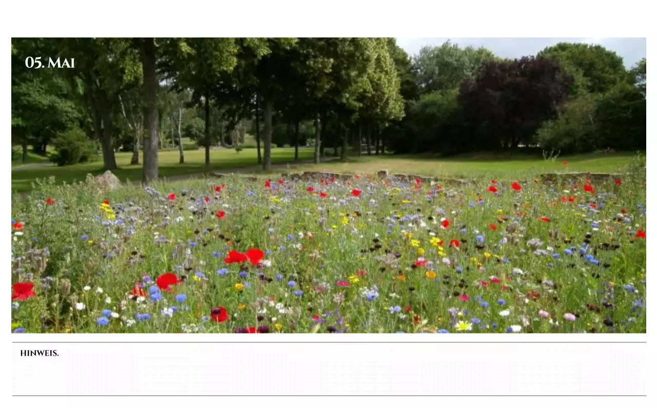 Einfacher Stil Wandkalender mit schwarz-weiß emotionalen Reisefotografie Konzept