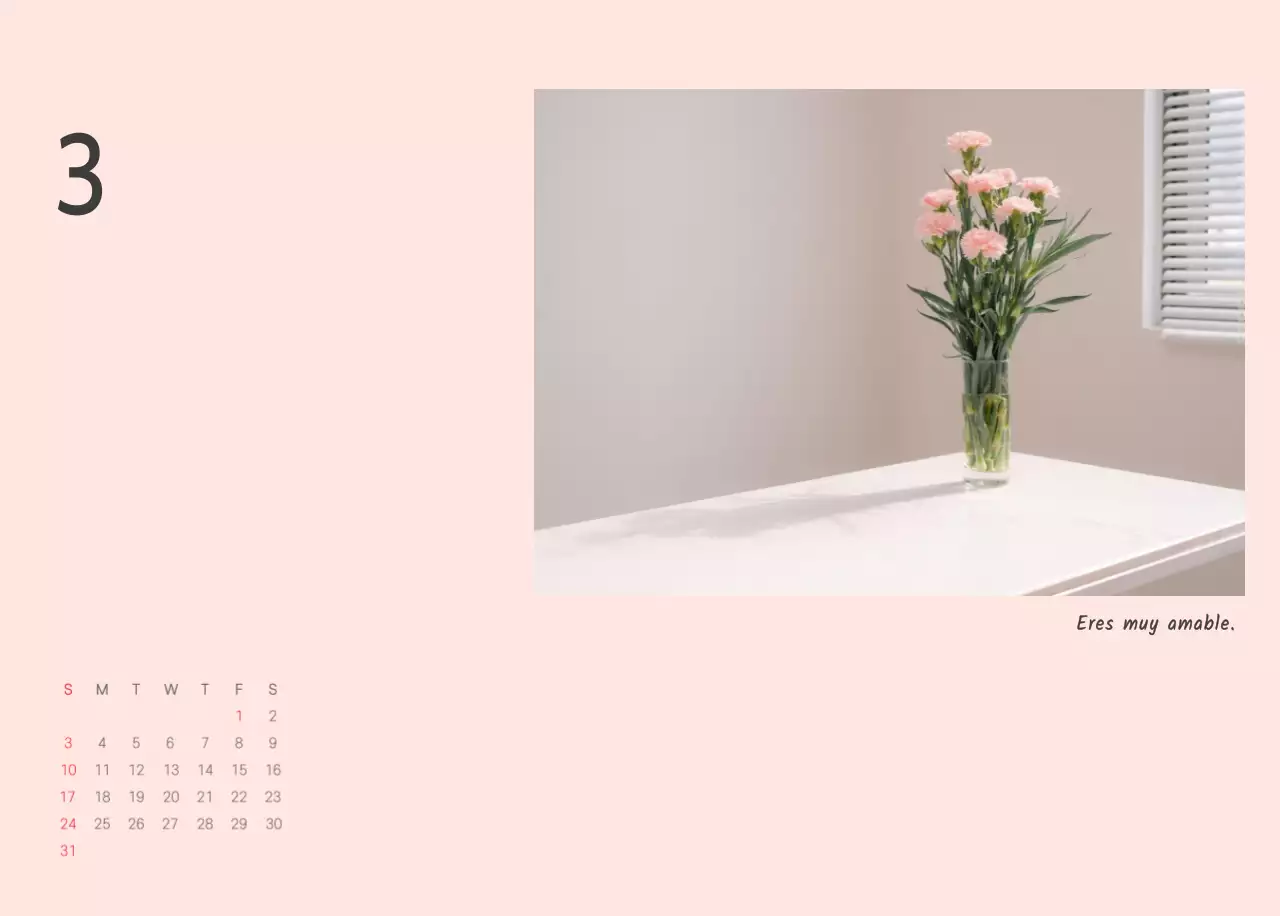 Blanco naturaleza botánica limpia