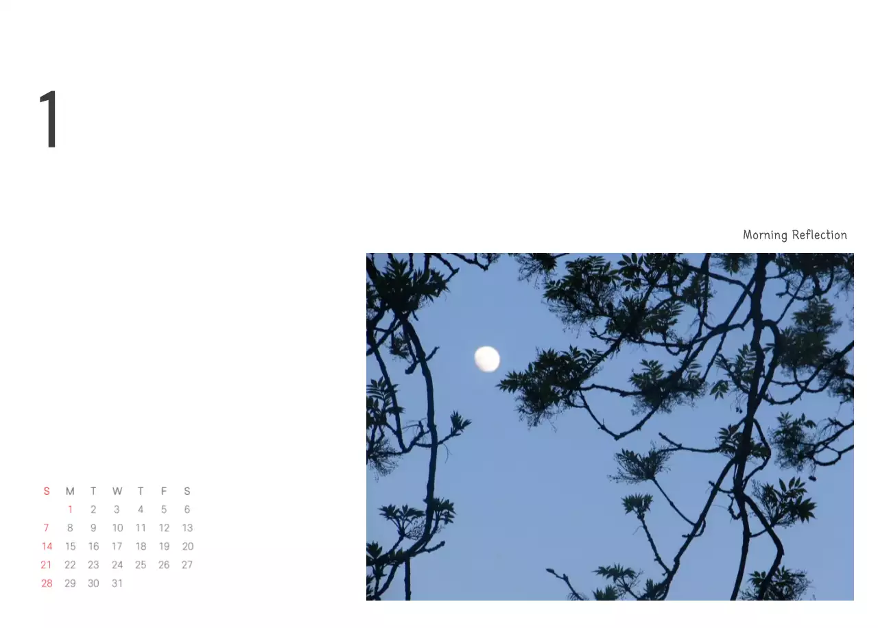 White Clean Botanical Nature