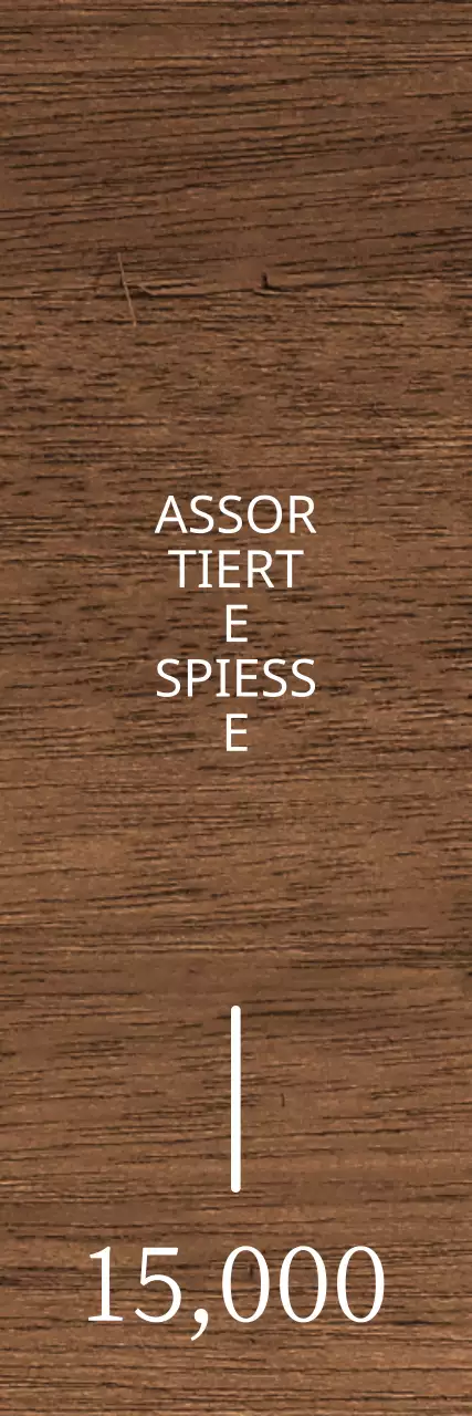 Ein beruhigendes Izakaya-Konzept in Weiß mit roten Akzenten