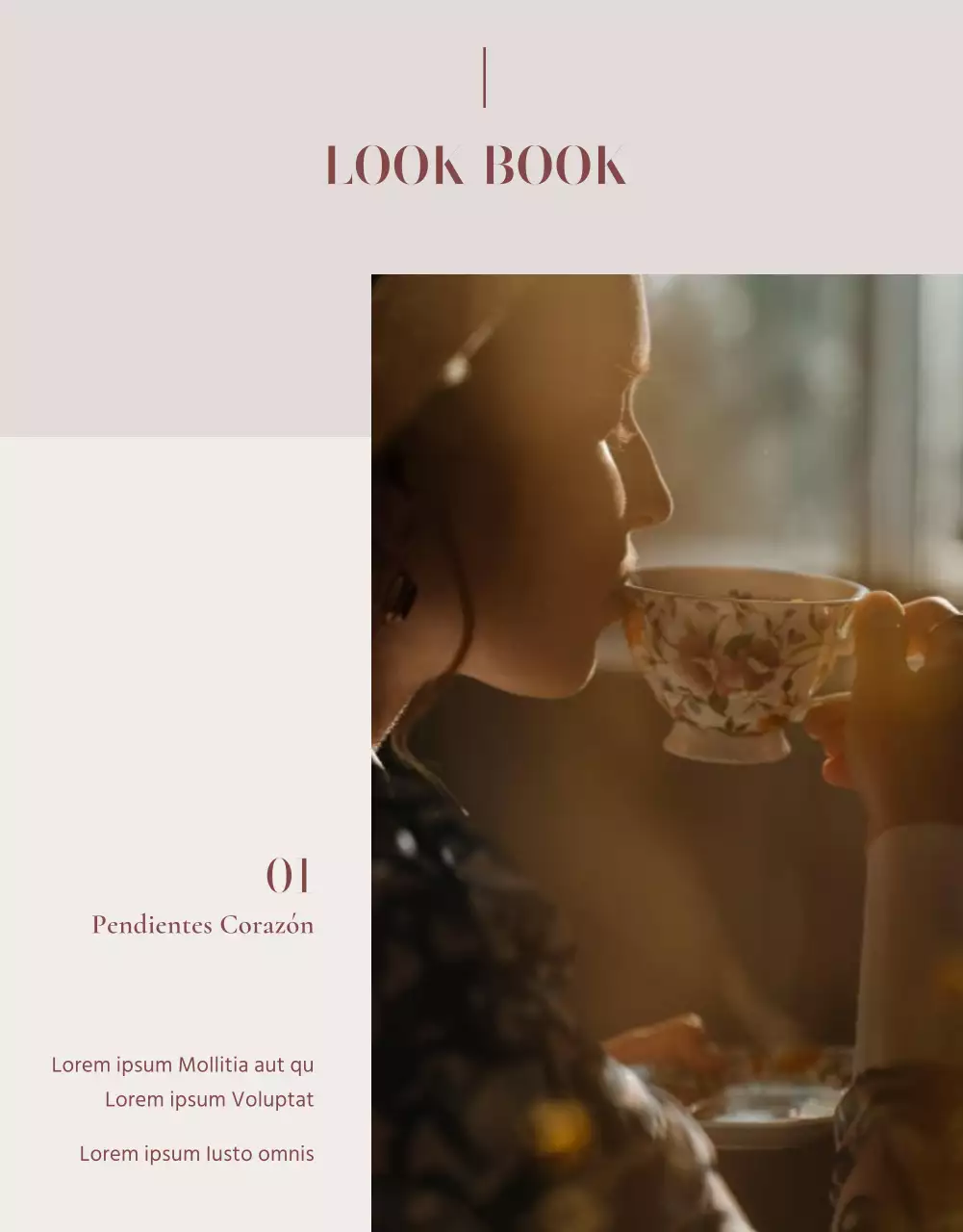 Anuncio de venta de un lookbook de accesorios de bisutería de moda en rosa y marrón.