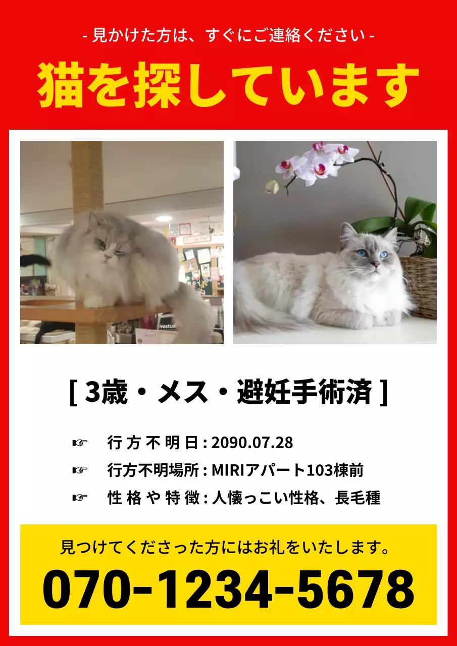 赤と黄色の基本的なペットの行方不明の記事