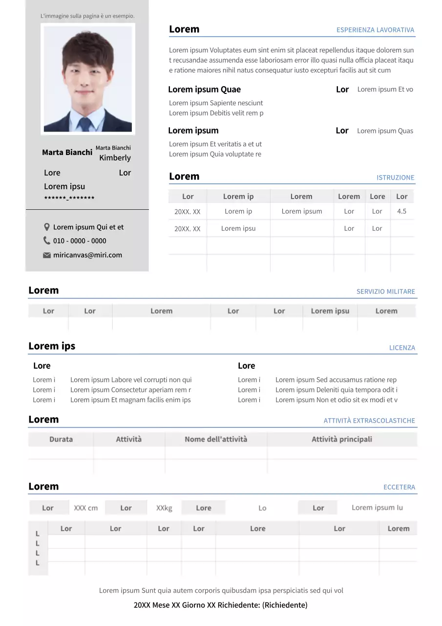 Curriculum di base grigio e blu dettagliato