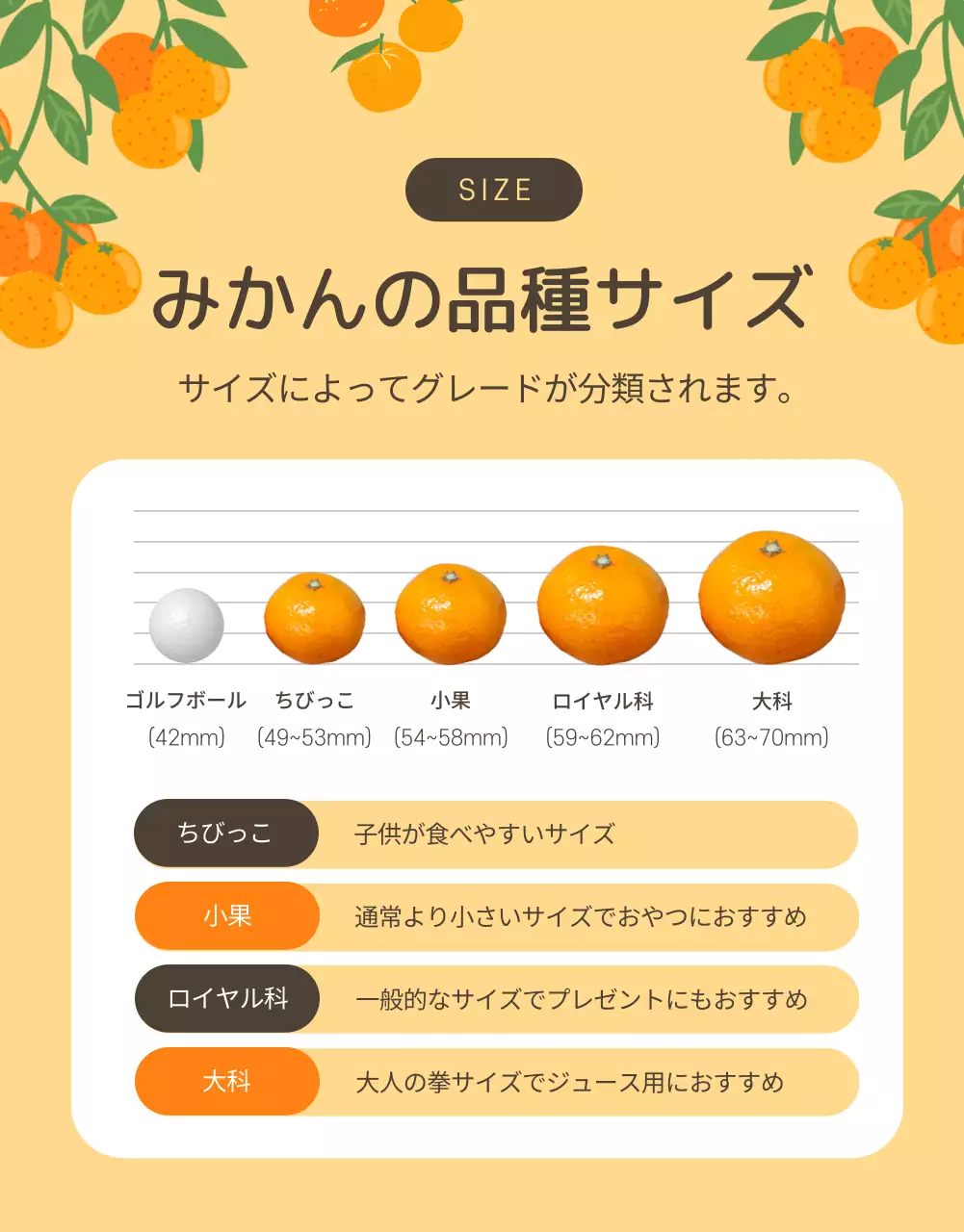 オレンジ かわいい みかん パンフレット 詳細ページ