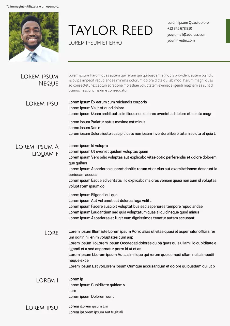 Curriculum del rappresentante di vendita semplice bianco e verde