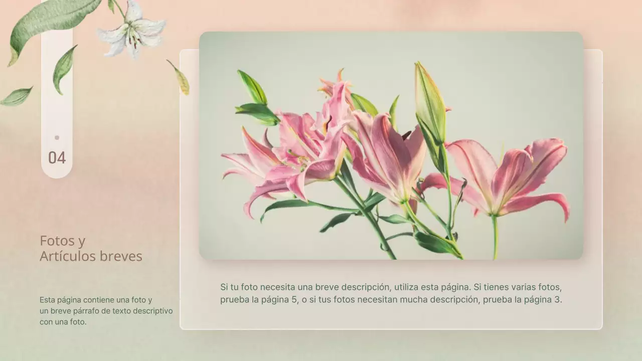 Sencillas flores de invierno en presentación rosa y amarilla