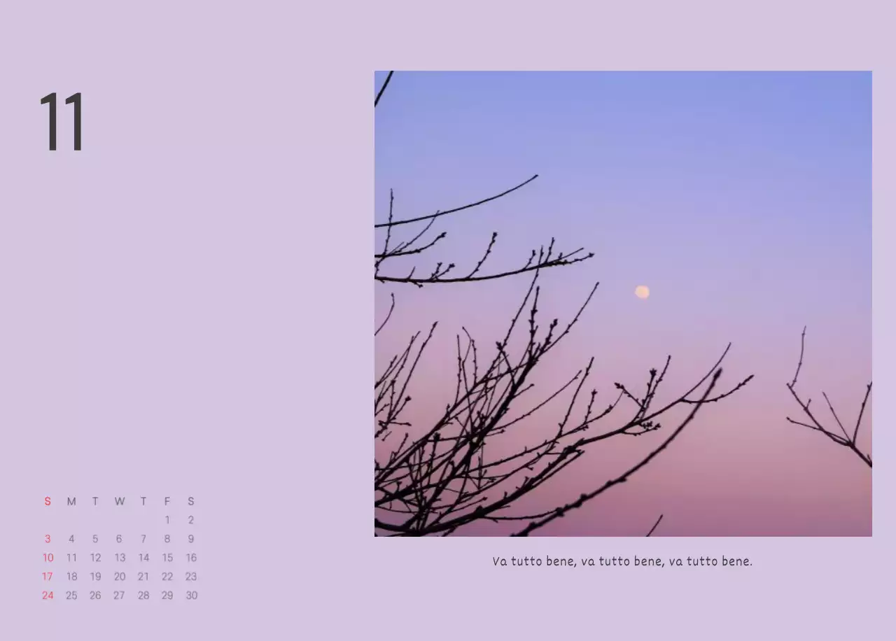 Bianco pulito natura botanica