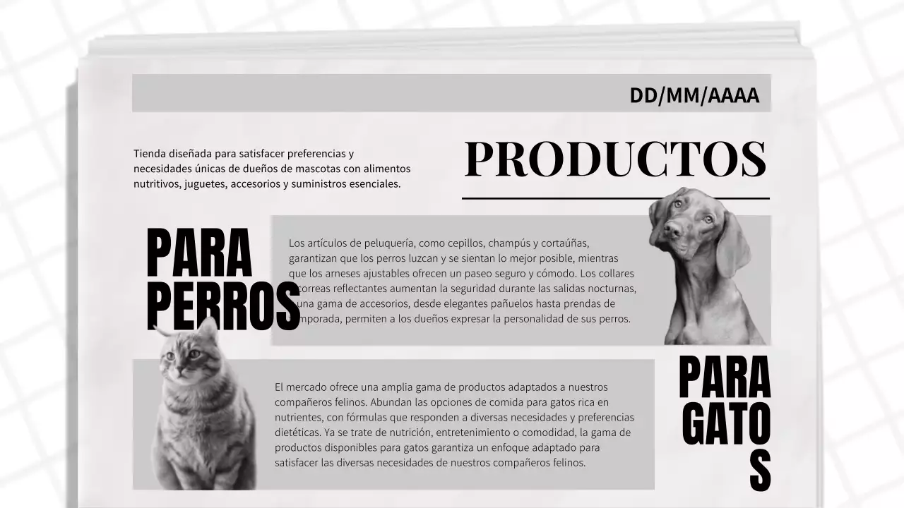 Tema de periódico clásico azul y negro Informe de empresa