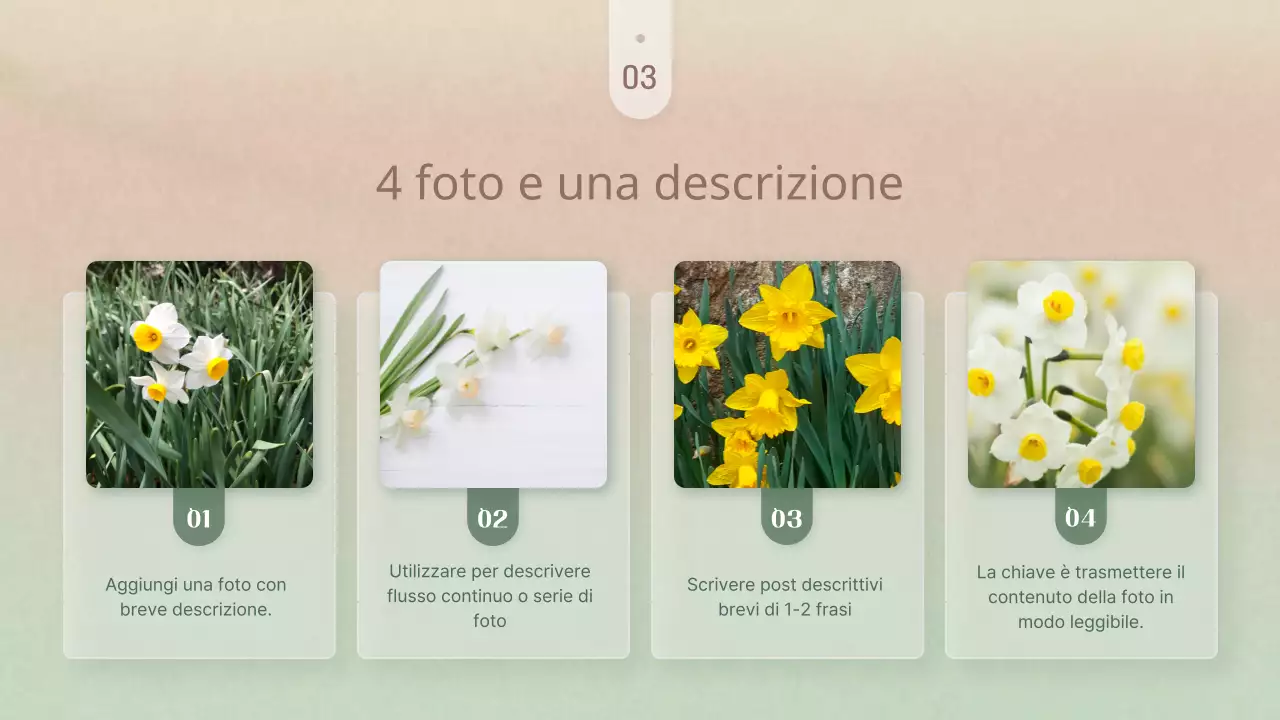 Semplice presentazione di fiori invernali in rosa e giallo