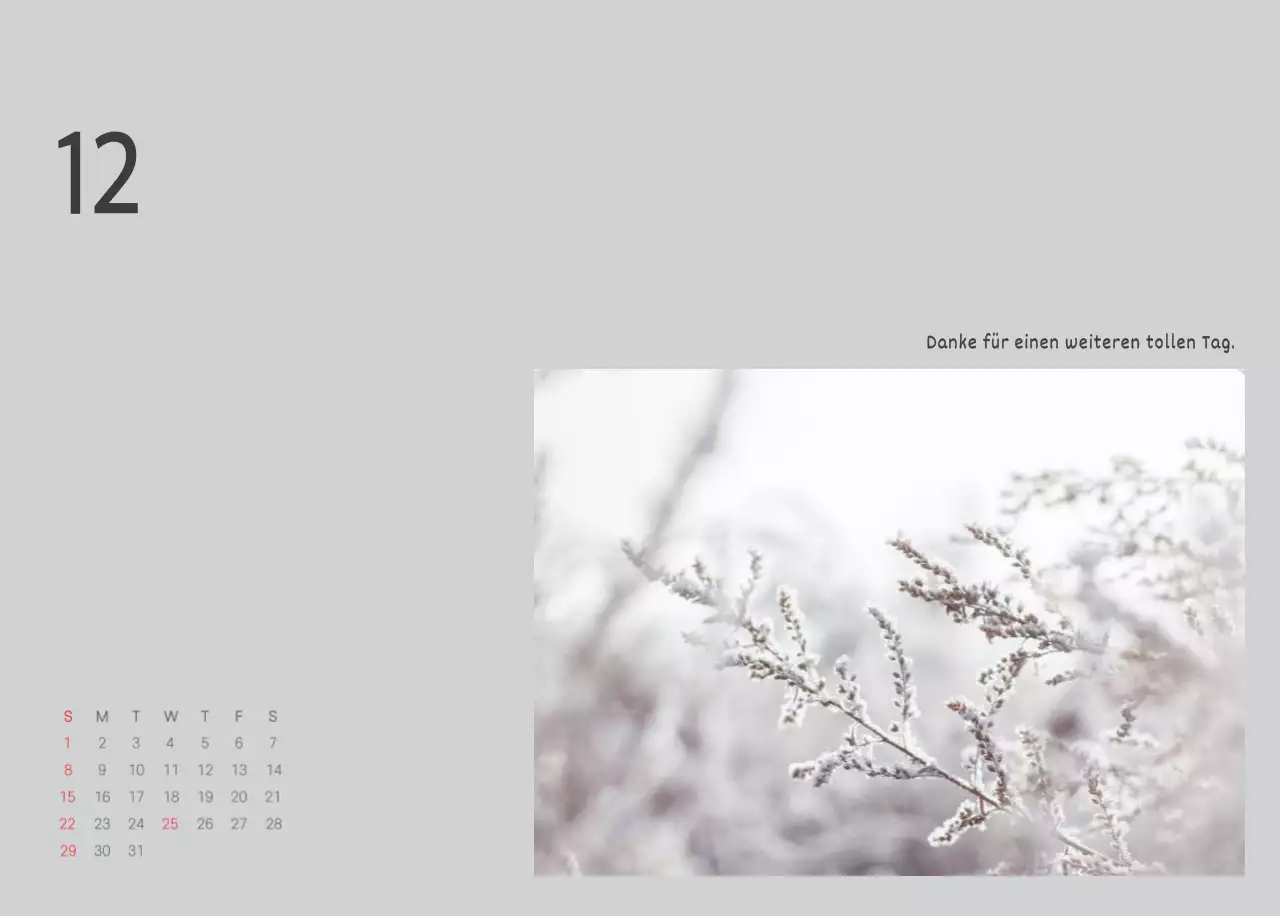 Weiße saubere botanische Natur