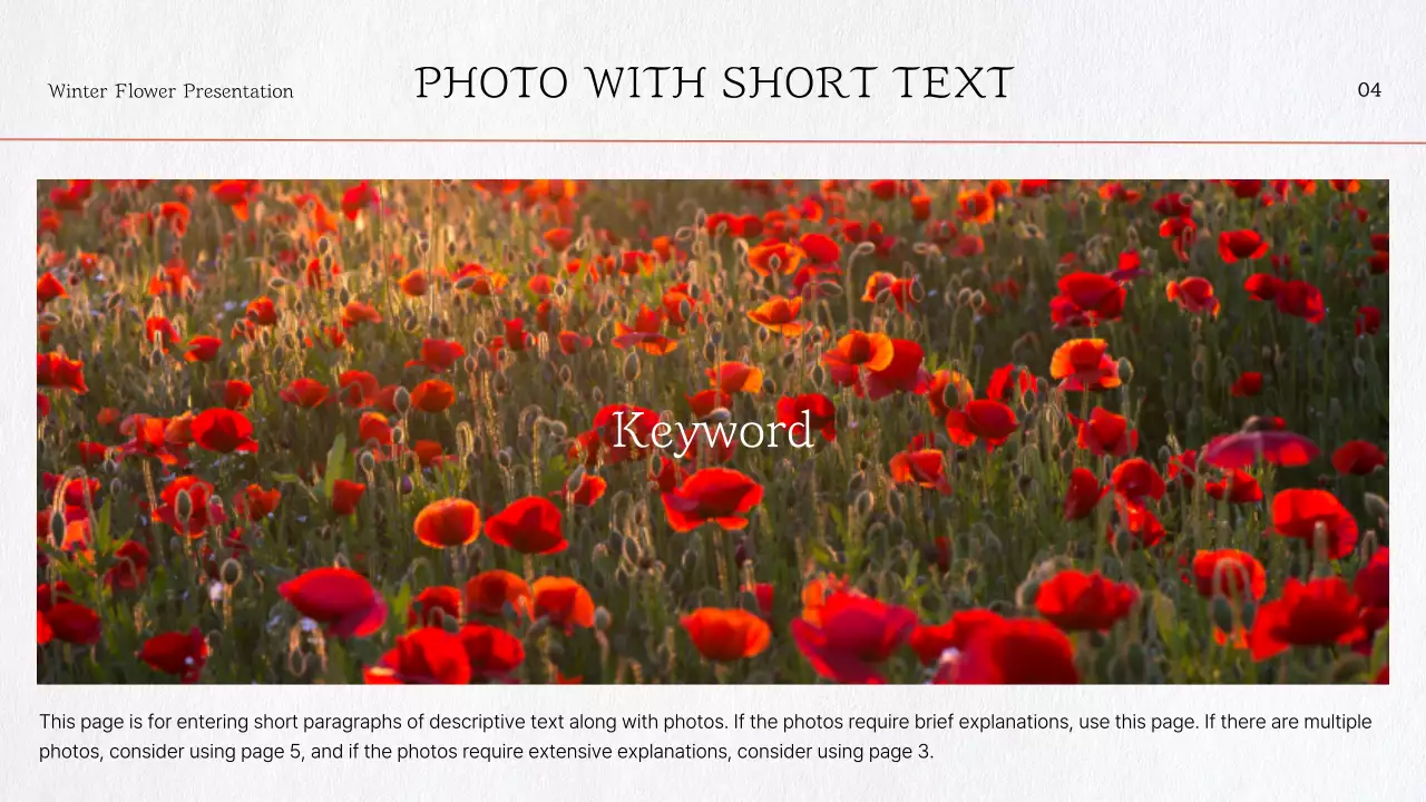 붉은 꽃 템플릿 프레젠테이션