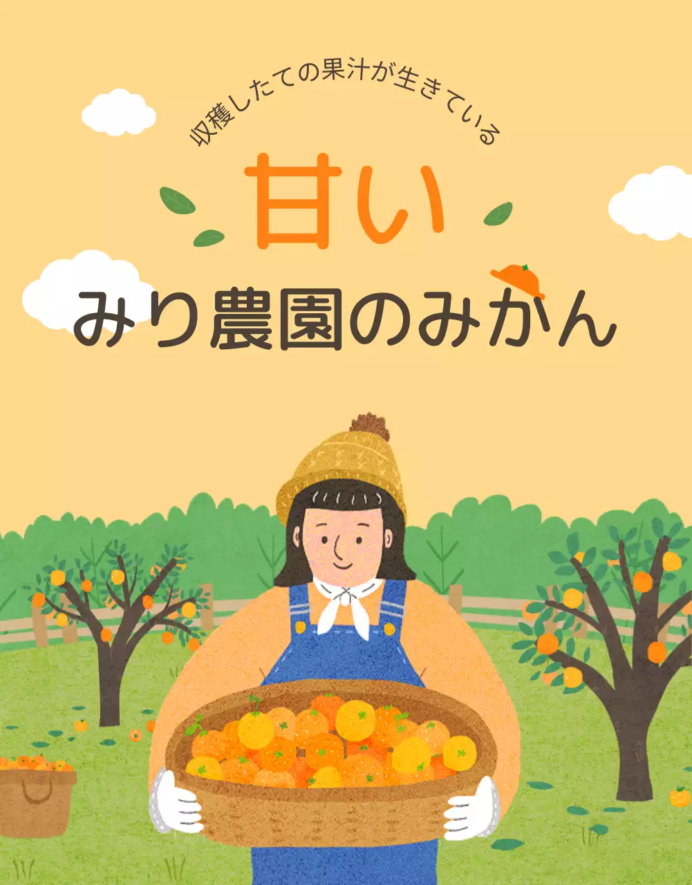オレンジ かわいい みかん パンフレット 詳細ページ