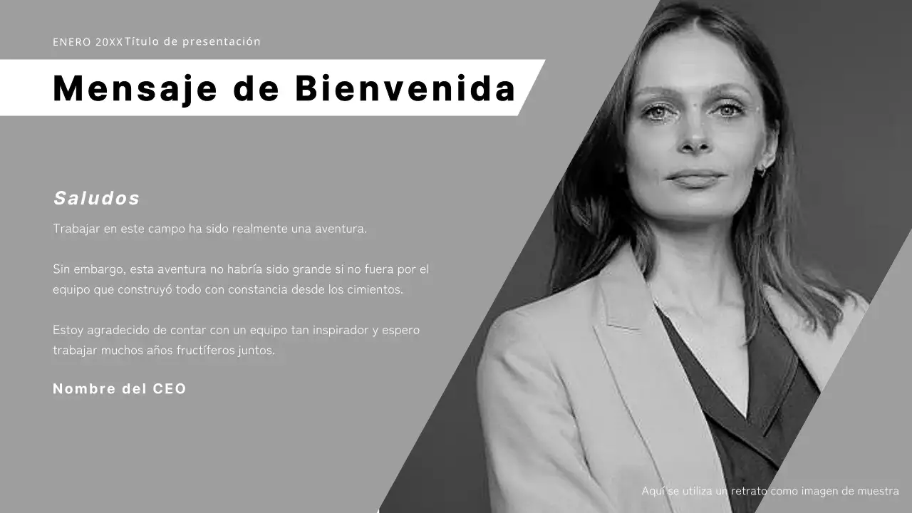 Propuesta de negocio moderna en blanco y negro