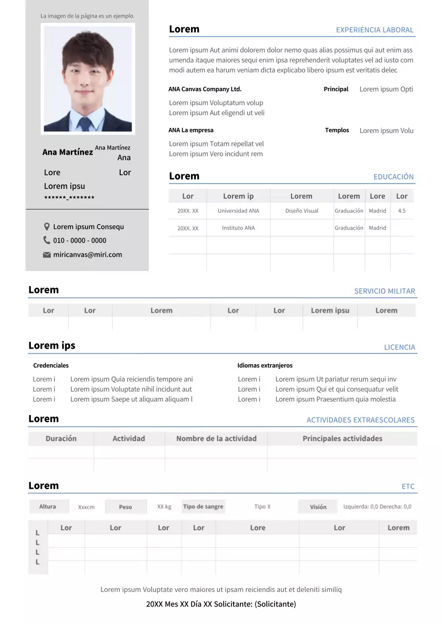 Curriculum vitae detallado en gris y azul