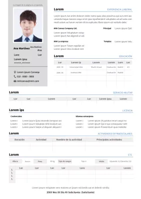 Curriculum vitae detallado en gris y azul