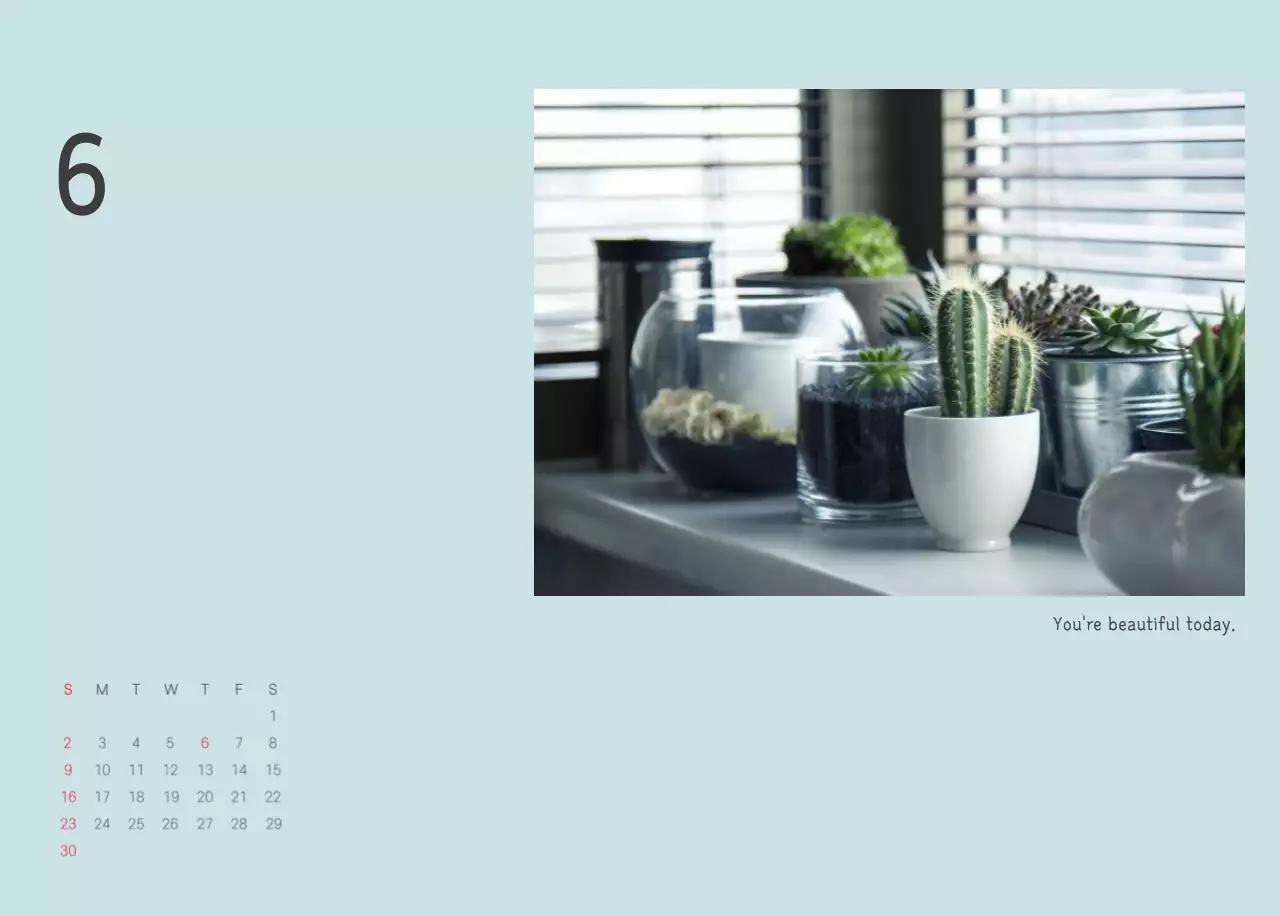 White Clean Botanical Nature