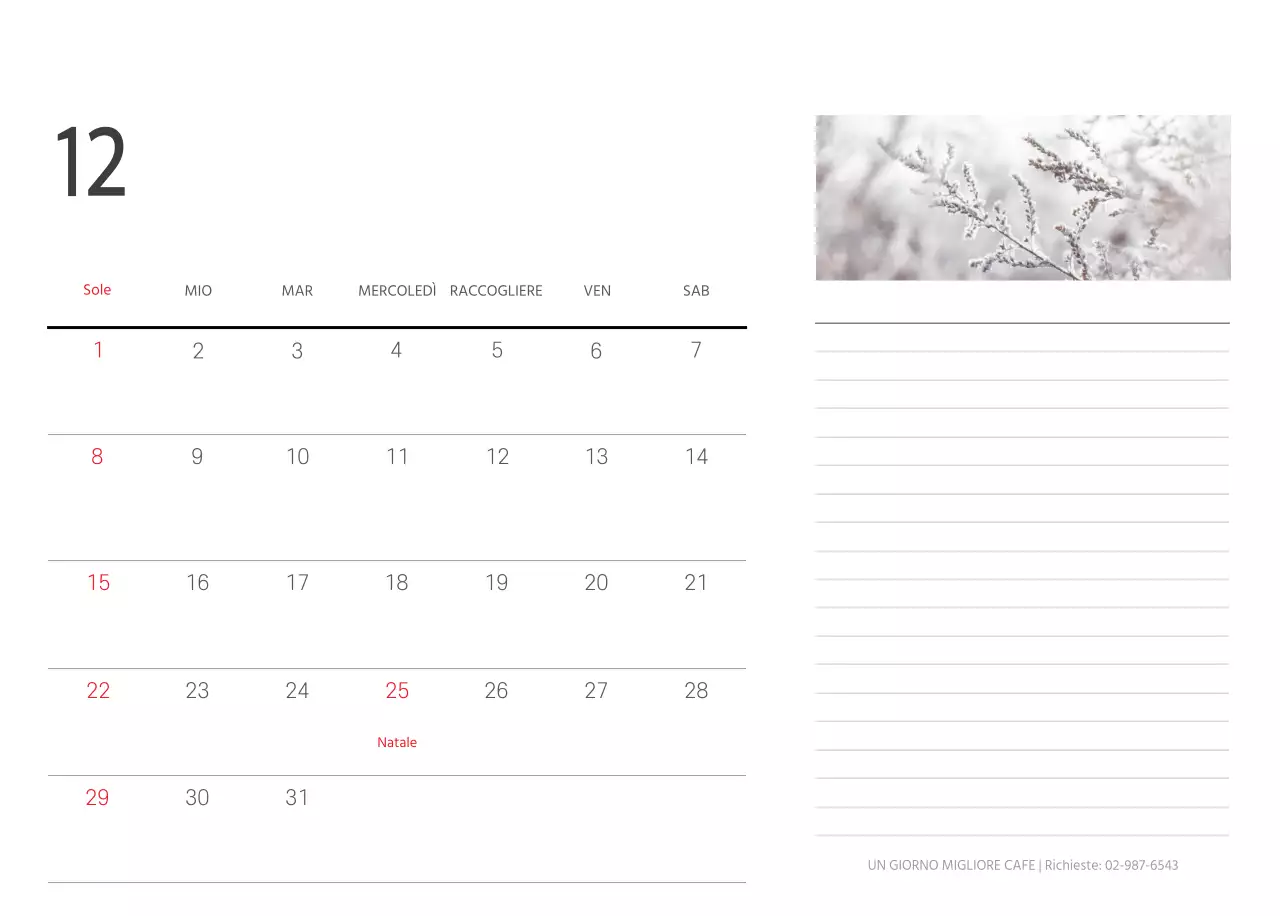 Bianco pulito natura botanica