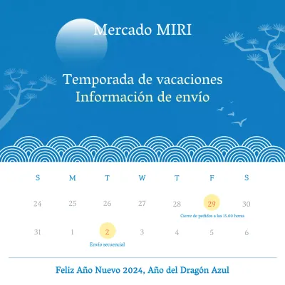Envío de vacaciones orientales en correo azul claro y blanco