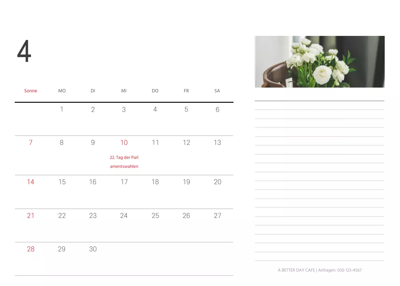 Weiße saubere botanische Natur