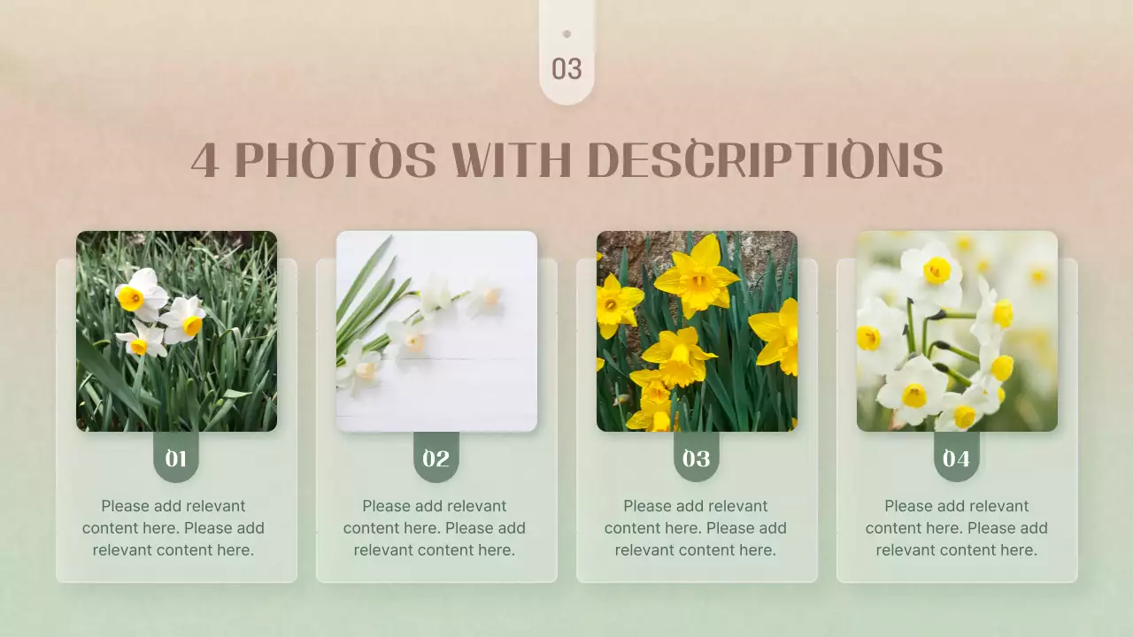 Pink Elegant Floral Presentation