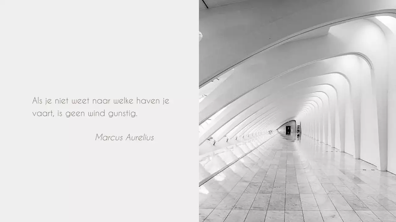 Elegante zakelijke rapporten in zwart-wit