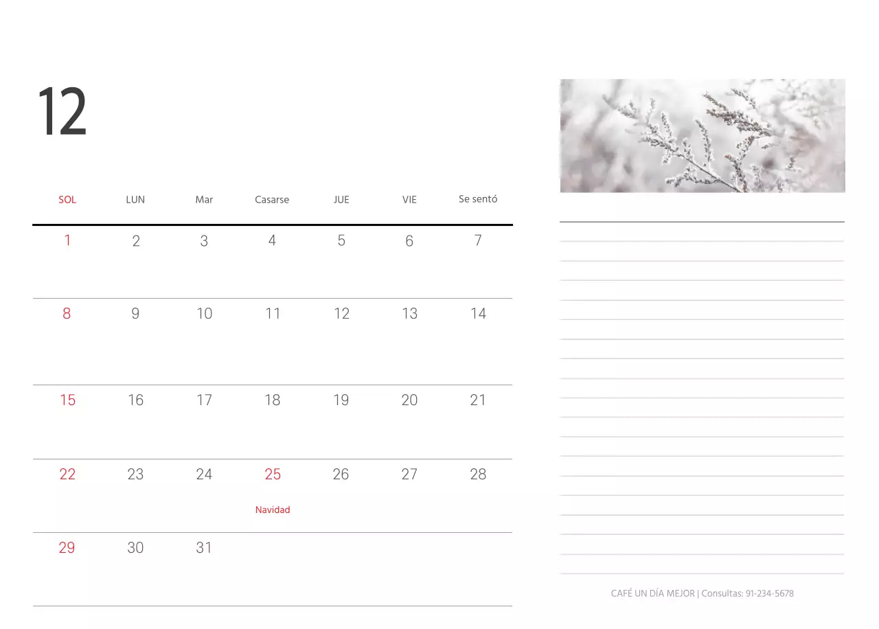 Blanco naturaleza botánica limpia