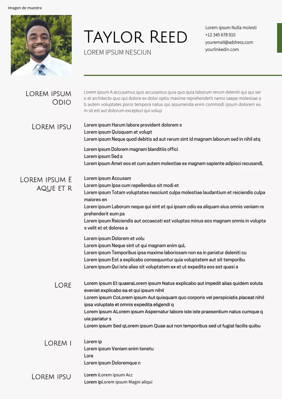 Currículum vitae simple de representante de ventas en blanco y verde