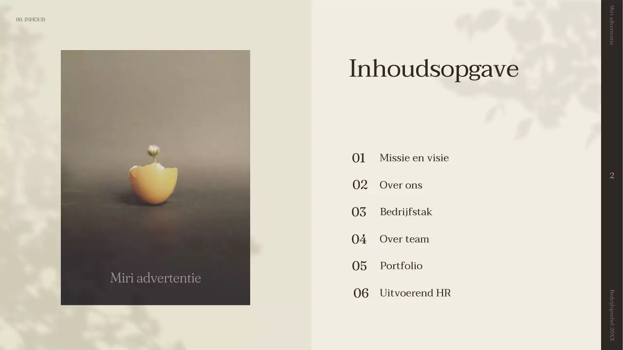 Een eenvoudig verhalend bedrijfsprofiel in beige