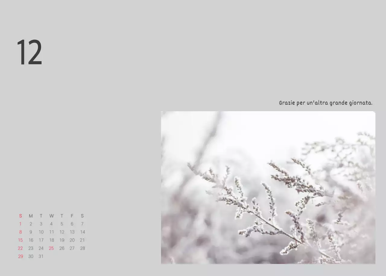 Bianco pulito natura botanica