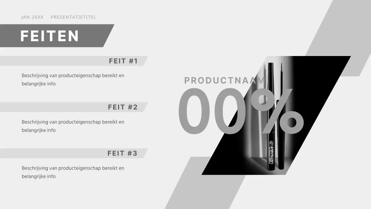 Zwart-wit modern zakelijk voorstel