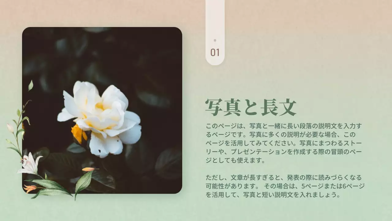 ピンク 上品 花 プレゼンテーション