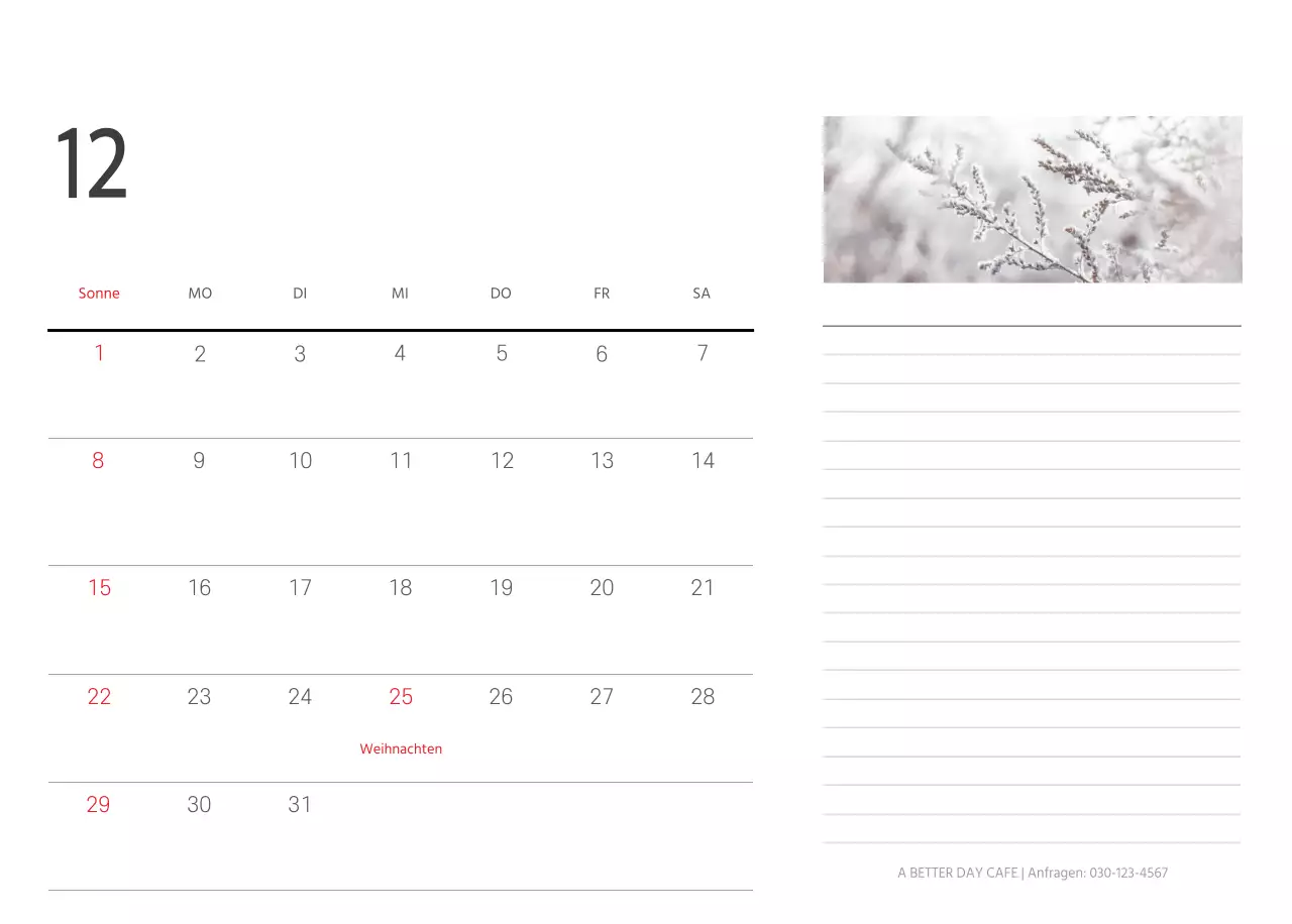 Weiße saubere botanische Natur