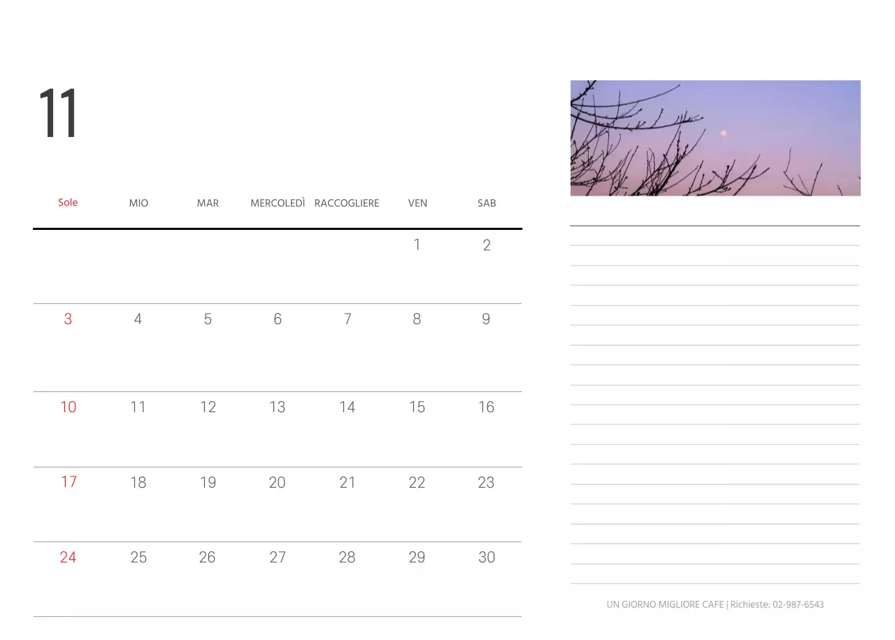 Bianco pulito natura botanica