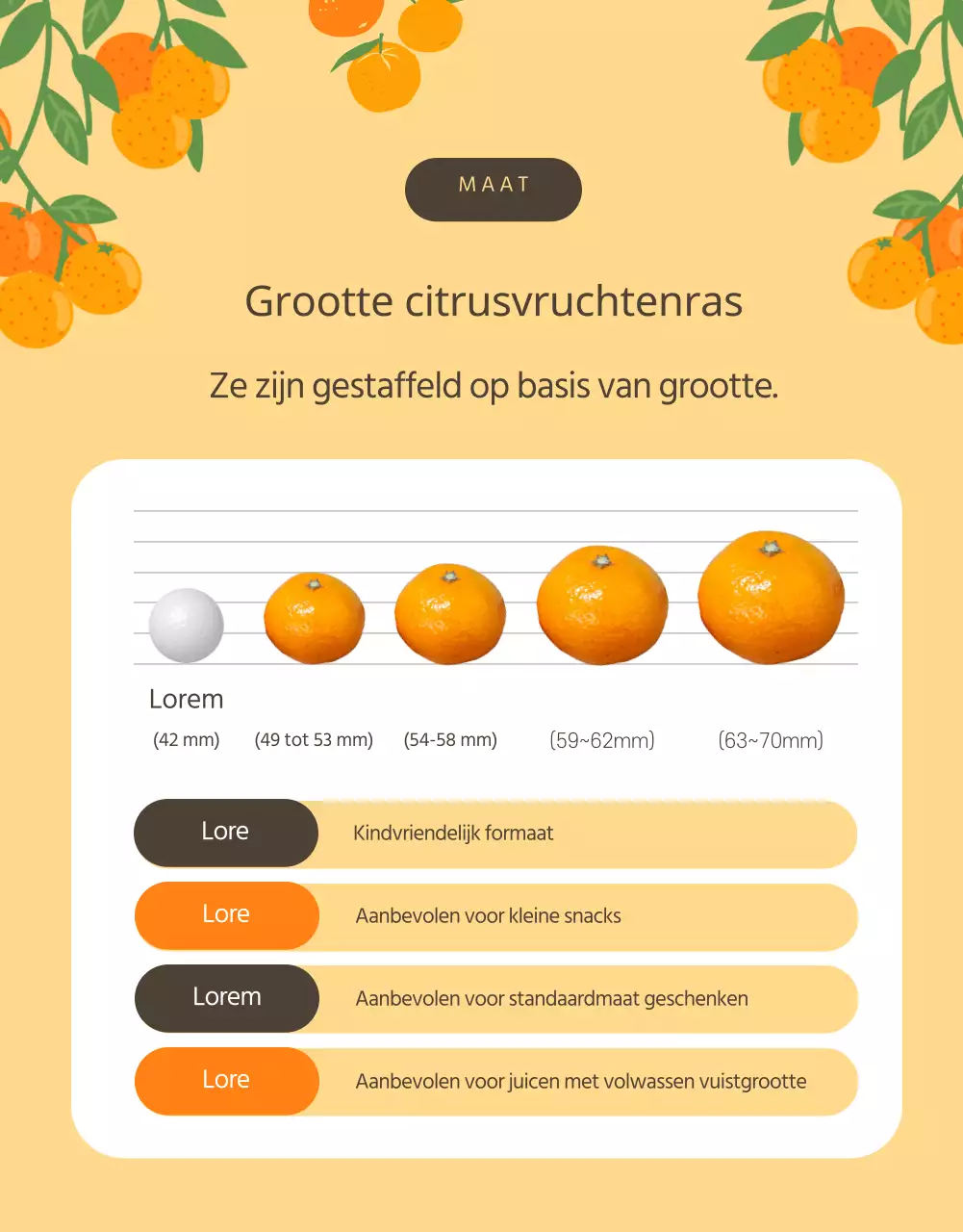 Bevorder sinaasappel en citrusvruchten