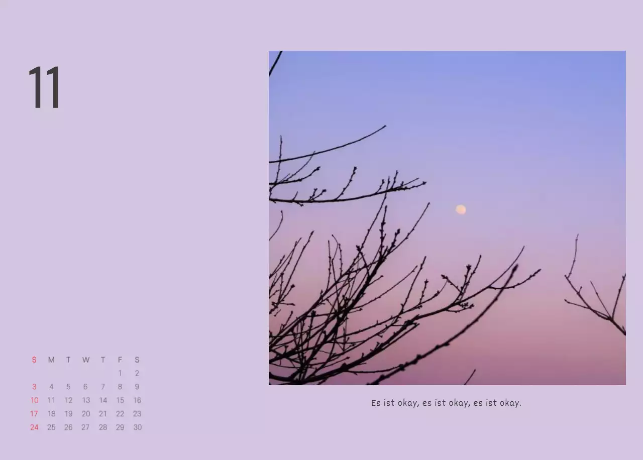 Weiße saubere botanische Natur